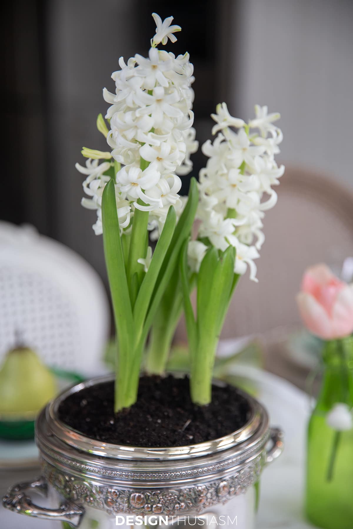 St. Pat's table white hyacinths in silver ice bucket