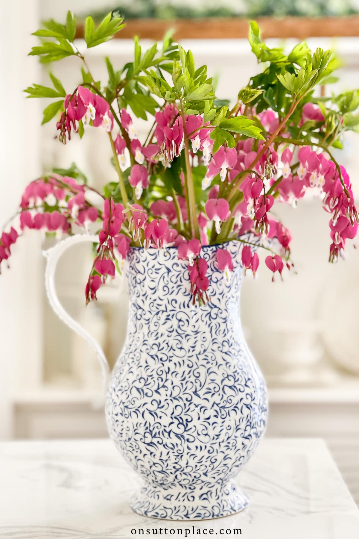 pink bleeding hearts in blue and white pitcher spring idea